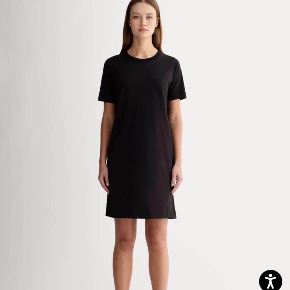 Everlane Black Crew Neck t-shirt Dress